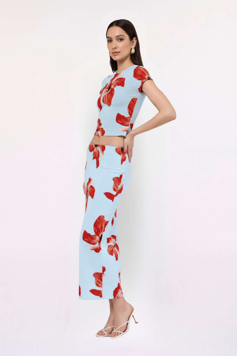 Chloe Floral Mesh Ruched Midi Skirt – Blue Pink