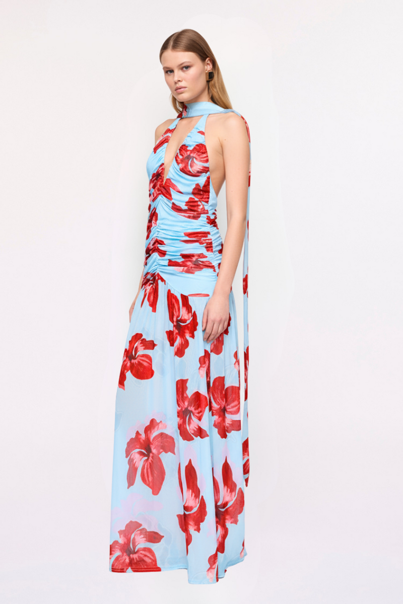 Chloe Floral Halter Mesh Plunge Maxi Dress – Blue Pink