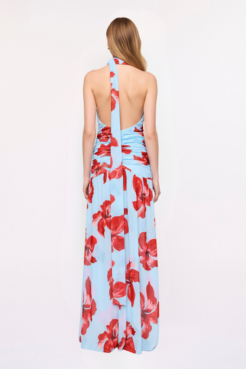 Chloe Floral Halter Mesh Plunge Maxi Dress – Blue Pink