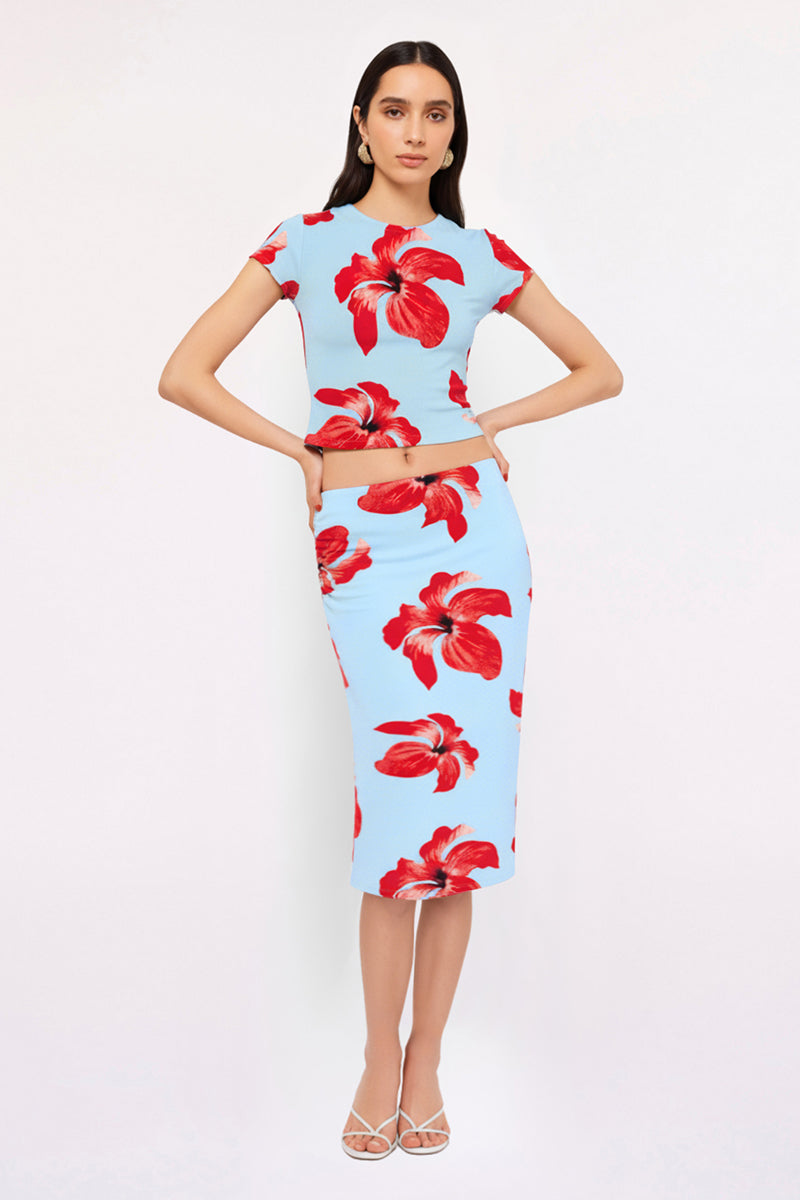 Chloe Floral Mesh Crop Top – Blue Pink