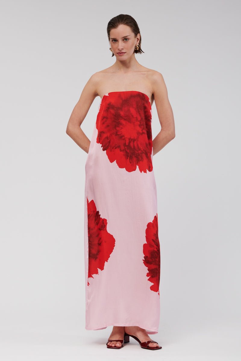 emilia bustier maxi dress Emilia Bustier Maxi Dress Pink Floral / S