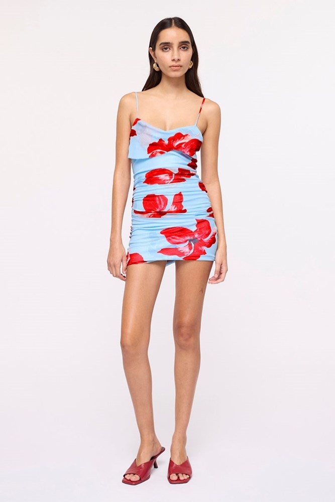 Chloe Floral Mesh Mini Dress – Blue Pink