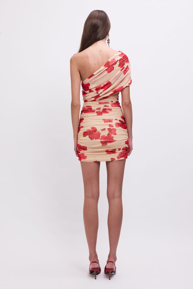 Suzie One-Shoulder Floral Mesh Mini Dress